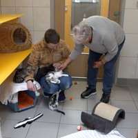 Die tierpfleger mit ein paar Katzen