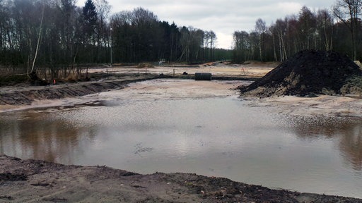 Brachfläche mit Wasserstelle, im Hintergrund Sand und Birken