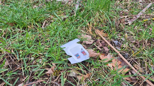 Pflaster im Gras