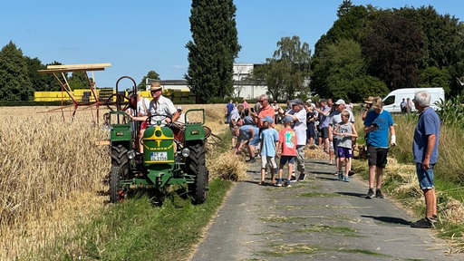 Ein Trecker zieht historischen Mähbinder über das Roggenfeld vor Publikum