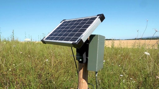 Vogelsensor steht im Feld