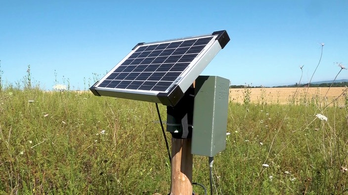 Vogelsensor steht im Feld
