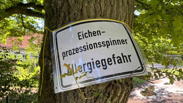 Die akute Gefahr an den Detmolder Schulen ist erstmal beseitigt.