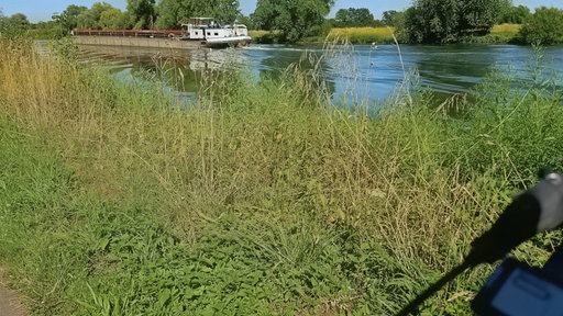 Während das Rad kurz auf dem Weserradweg zwischen Minden und Petershagen steht, fährt auf dem Fluss ein Binnenschiff vorbei