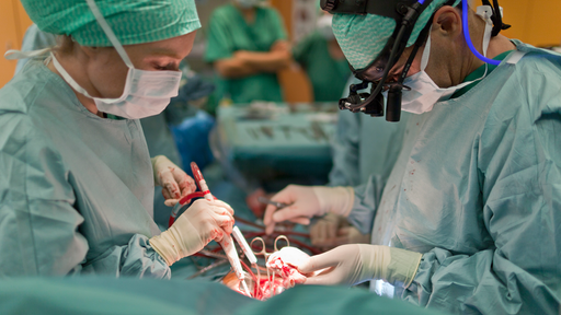 Herztransplantation und Organspende bei Herztod