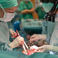 Herztransplantation und Organspende bei Herztod