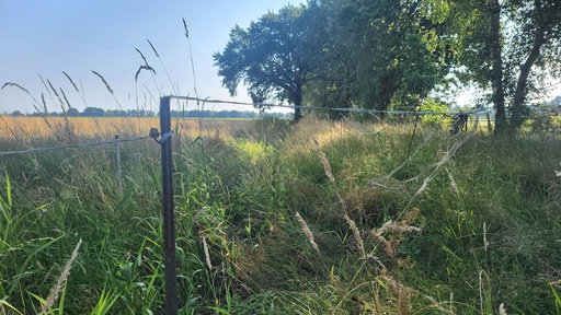 Auf der Landesgrenze zwischen NRW und Niedersachsen