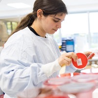 eine Mitarbeiterin im Zentrallabor der Mühlenkreiskliniken prüft Behälter