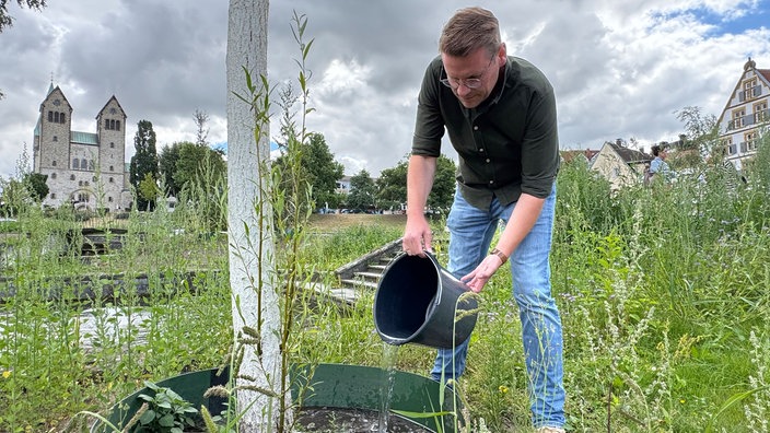 Stefan Buschmeier gießt einen der 32 neu gepflanzten Bäume im Paderquellgebiet.