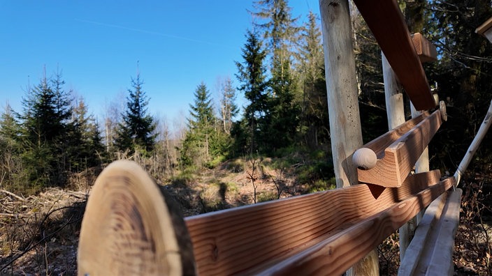 Eine Kugelbahn aus Holz in einem Wald