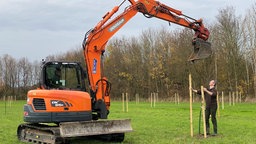 Menschen pflanzen mithilfe eines Baggers einen Baum.