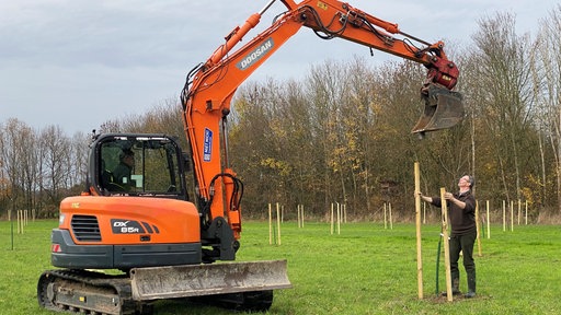 Menschen pflanzen mithilfe eines Baggers einen Baum.