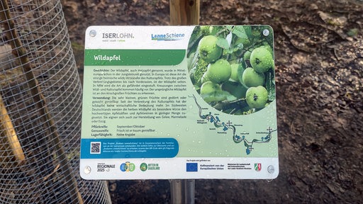 Ein Schild mit der Beschreibung des Obsbaumes