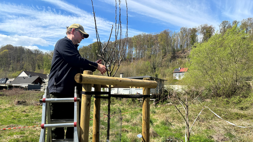 Volker Knipp, Gartenlandschaftsbauer