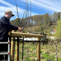 Volker Knipp, Gartenlandschaftsbauer