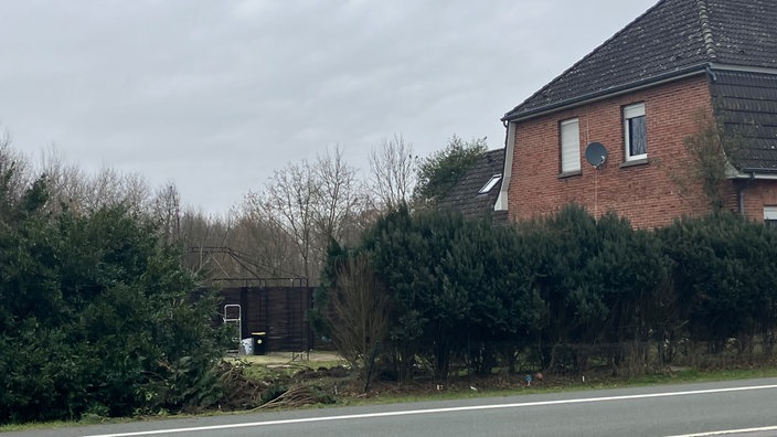 ein kaputter Busch neben einem Haus