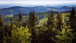 Panoramablick vom Gillerturm auf dem Berg Giller.