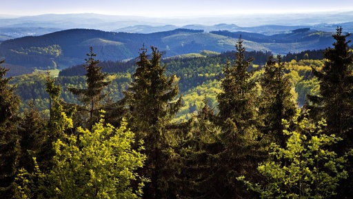 Panoramablick vom Gillerturm auf dem Berg Giller.