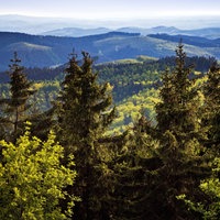 Panoramablick vom Gillerturm auf dem Berg Giller.