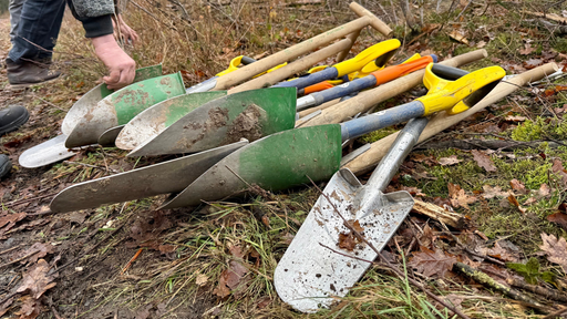 Zahlreiche Schaufeln liegen auf dem Waldboden.