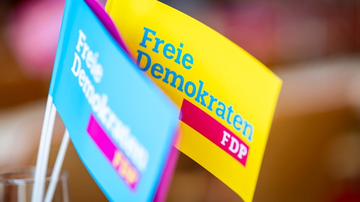 Drei FDP Parteifahnen