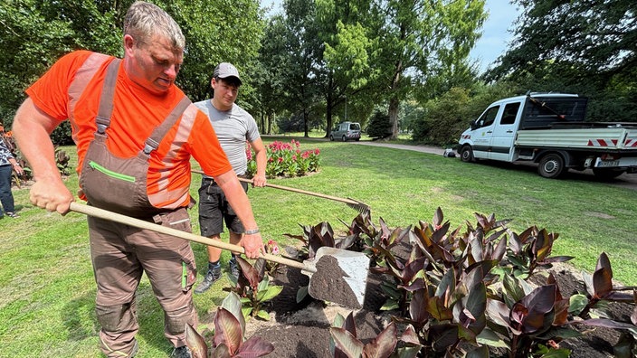 Zwei Gärtner kümmern sich mit Spaten und Harke um die Beete