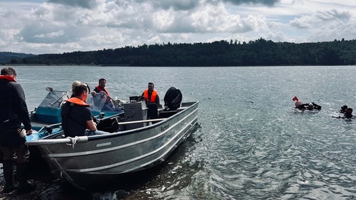Die Taucher sind auf dem Boot und im Wasser