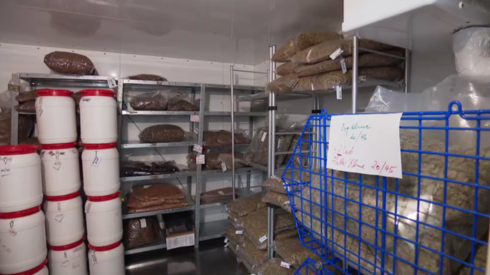 Tiefkühl-Lager für Saatgut in Arnsberg