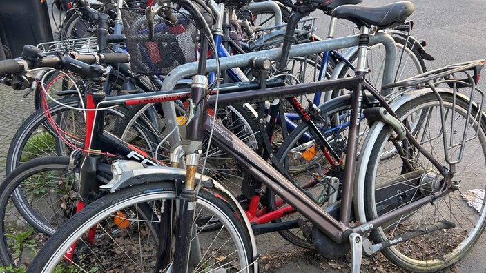 Schrotträder stehen an einer Fahrrad-Parkvorrichtung.