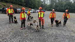 Personen mit Warnkleidung und Hunden an der Leine