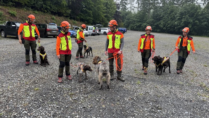 Personen mit Warnkleidung und Hunden an der Leine