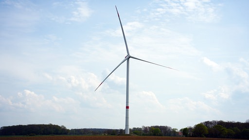 Ein Windrad auf einem Feld