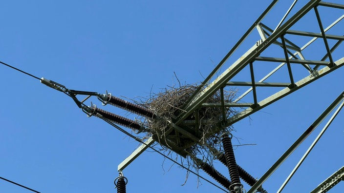 Nest liegt auf den Isolatoren und Leitungen einer Hochspannungsleitung