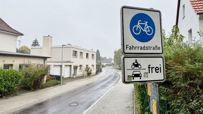 Rechts neben einer asphaltierten Straße steht das Verkehrszeichen für eine Fahrradstraße.