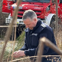 Ein Feuerwehrmann steht in einem Waldstück, im Vordergrund ist ausgetrocknetes Laub zu sehen