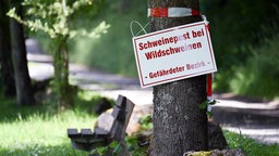 Warnhinweis Schweinepest