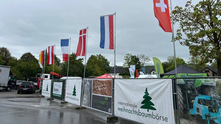 Internationale Weihnachtsbaumbörse in Eslohe