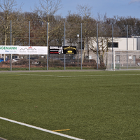 Blick auf einen Sportplatz in Münster.