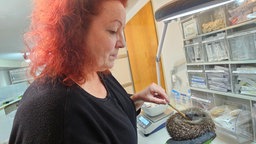Anke Voß Aktive Wildtierhilfe Münster