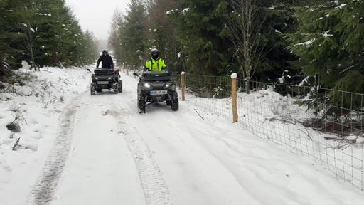 Zwei Quads fahren auf einem verschneiten Waldweg