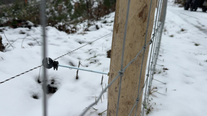 Durch einen Maschendrahtzaun sieht man Spuren im Schnee