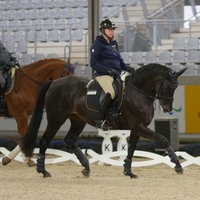 Zwei Personen reiten Pferde, während einer beobachtet