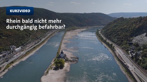 Der Rhein ist wegen Niedrigwasser zweiteilig