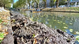 Schlamm liegt am Rande des Kö-Grabens in Düsseldorf