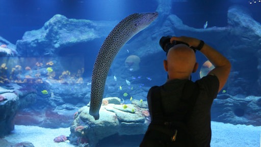 Besucher im Düsseldorfer Aquazoo