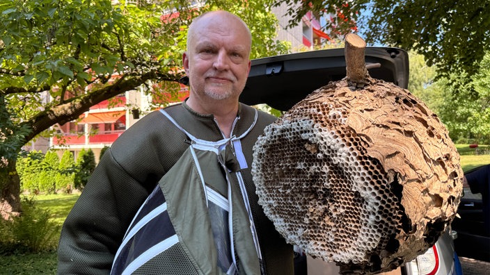 Ein Mann steht in olivgrünem Overal vor einem Baum. In der Hand hält er ein Hornissennest.
