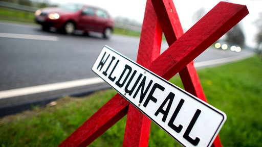 Ein rotes Warnkreuz mit der Aufschrift "Wildunfall" steht neben einer befahrenen Landstraße.