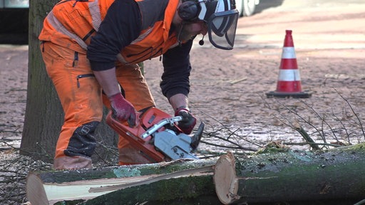 Baum wird zersägt