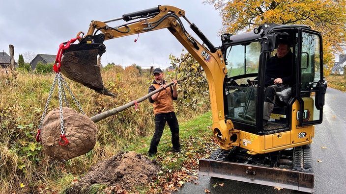 Jörn Riemann pflanzt mit Unterstützung eines Bagger einen Baum