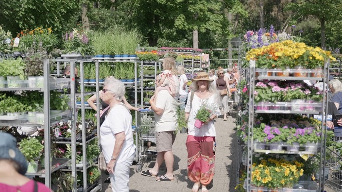 Menschen schlendern durch die Verkaufswägen mit Blumen 